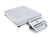 Ohaus Defender 5000 Washdown Low Profile Bench Scale (D52) - Discount Scale