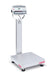 Ohaus Defender 5000 Washdown Bench Scale (D52) - Discount Scale