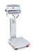 Ohaus Defender 5000 Washdown Bench Scale (D52) - Discount Scale