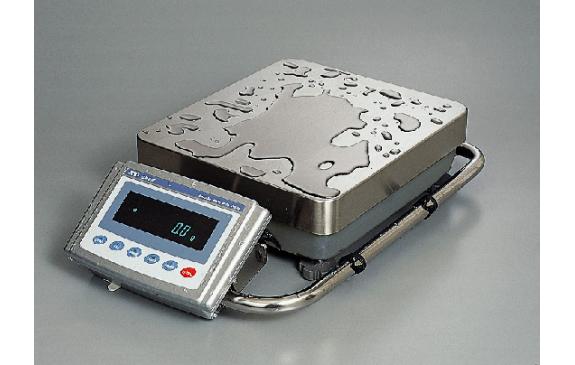 A&D Weighing GP Series Industrial Balance